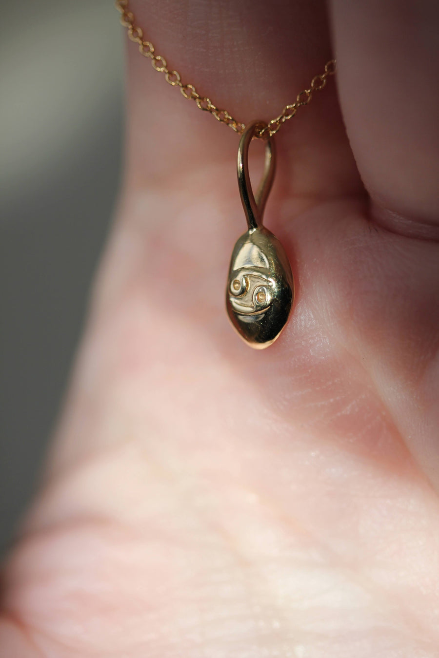 Zodiac Pebble Necklace